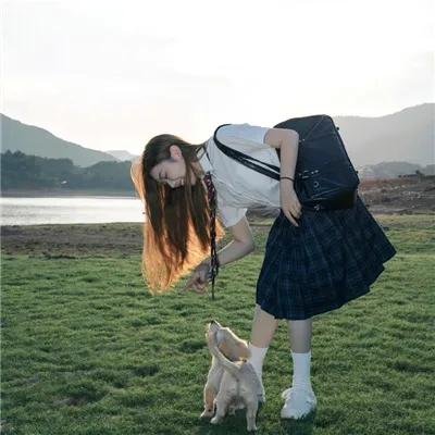 便携门